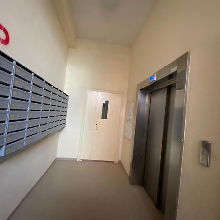 All New Apartment With Best View Near Shopping Malldova 基希讷乌 外观 照片